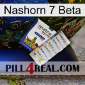 Rhino 7 Beta 11